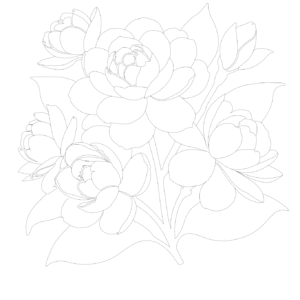 Libro Floral de Acuarela